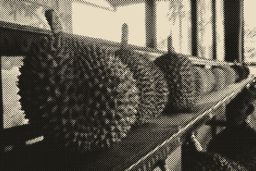 Durians lined up on the rack at Durian Station