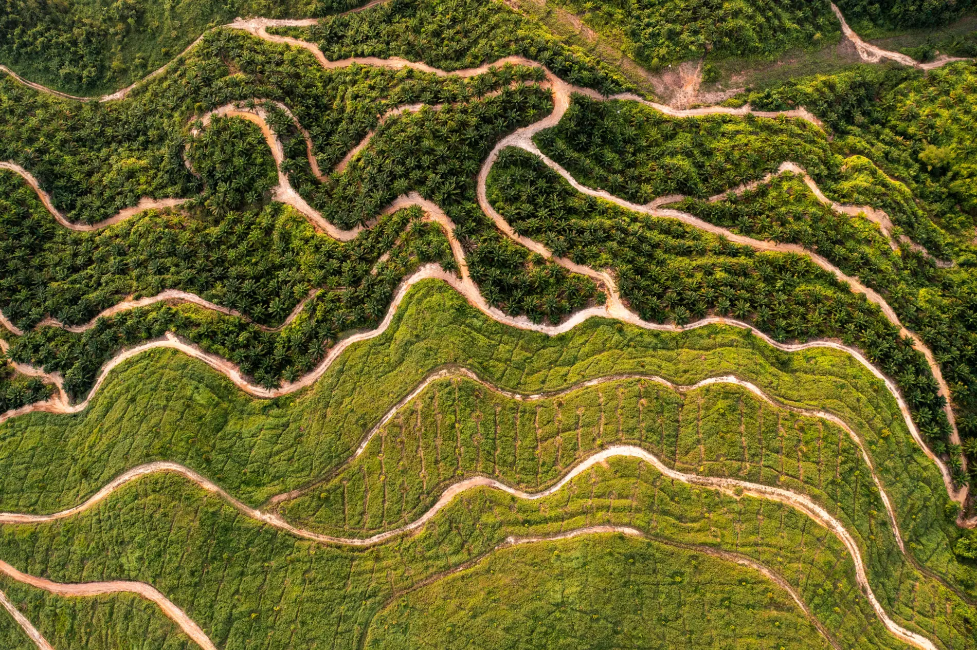 Terraced hills and estate roads from the air